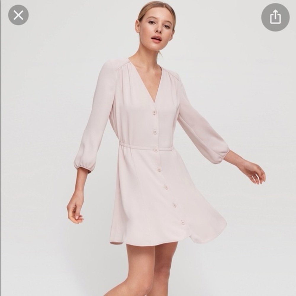 Aritzia Babaton Dress